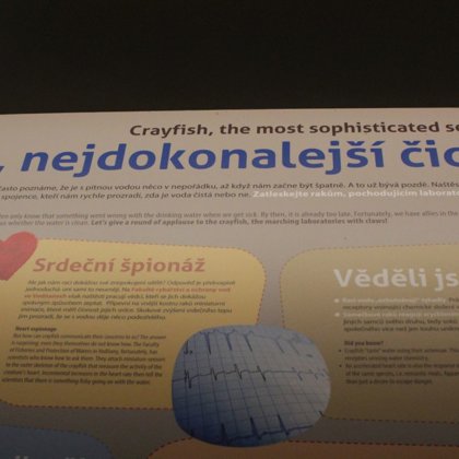 Návrh koncepce panelů pro Národní zemědělské muzeum 