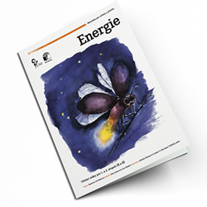 Metodiky a pracovní listy pro Sdružení TEREZA